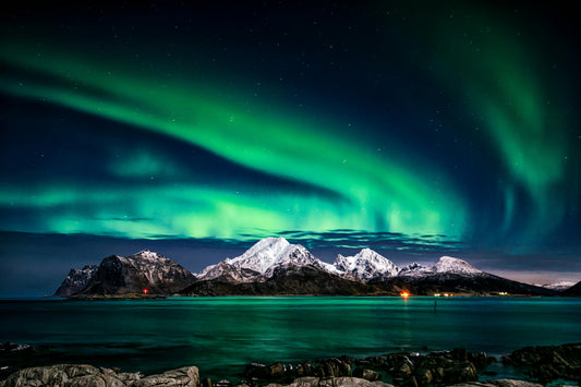 🐨🌍Experience the Northern Lights