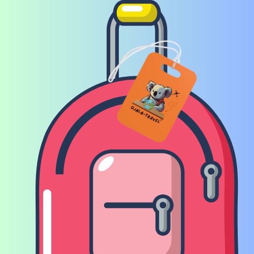 ORANGE- Luggage Tags