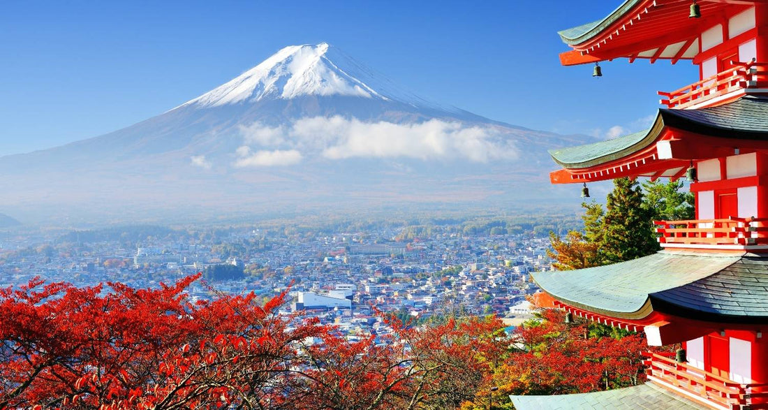 Everything You Need to Know About Japanese Etiquette
