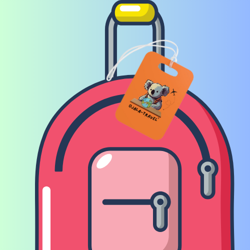 ORANGE-  Luggage Tags